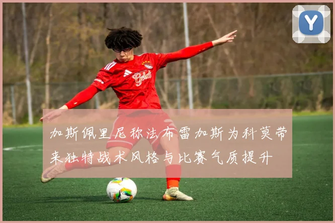 加斯佩里尼称法布雷加斯为科莫带来独特战术风格与比赛气质提升