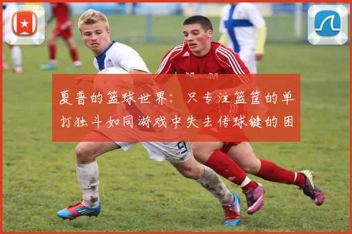 夏普的篮球世界：只专注篮筐的单打独斗如同游戏中失去传球键的困境