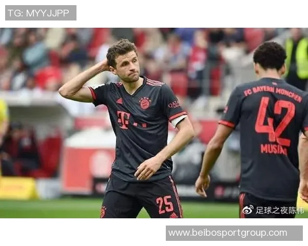 拜仁获批收购翁特哈兴体育公园将作为女足新主场使用